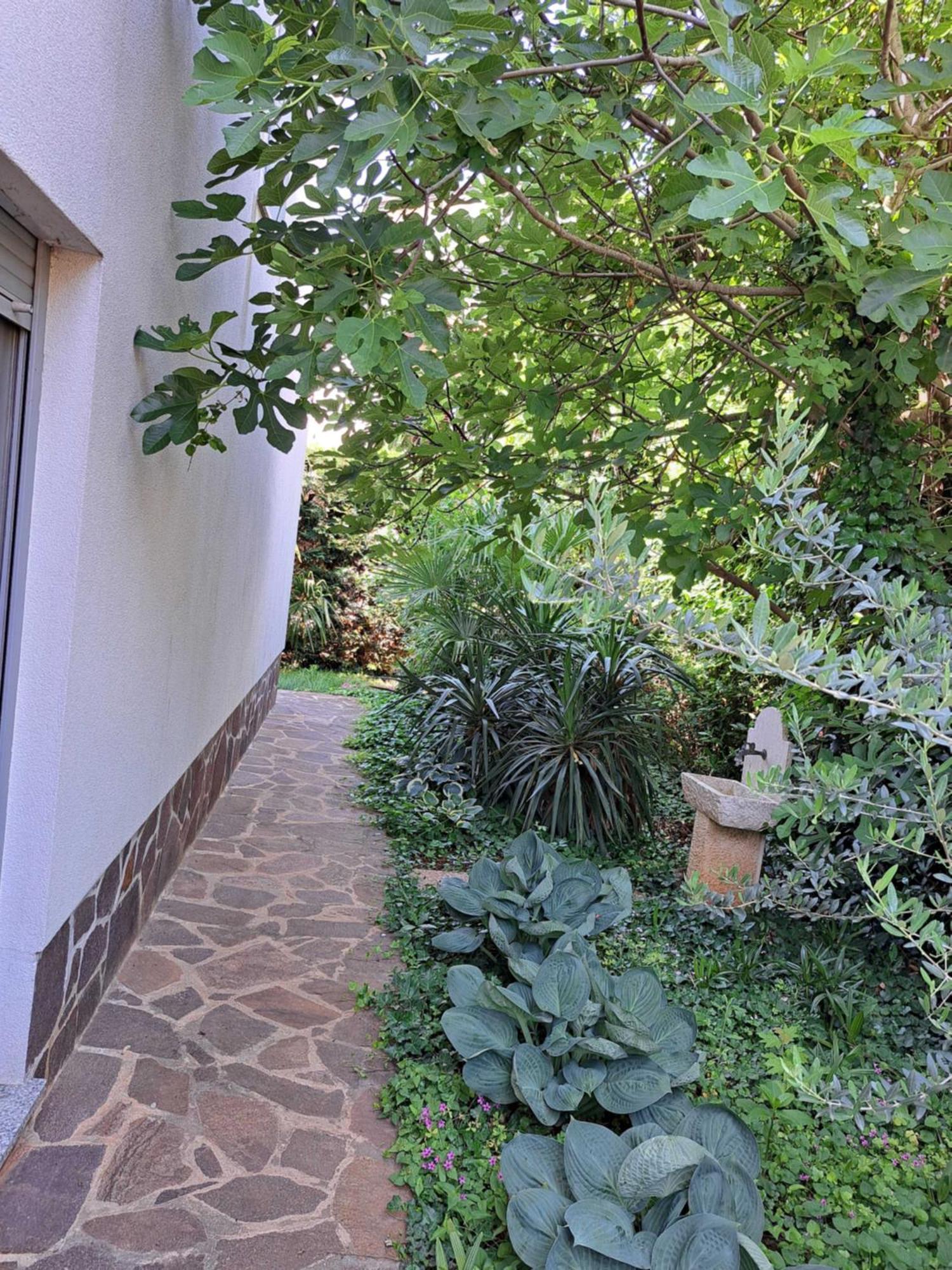 Apartment Umag Exterior foto